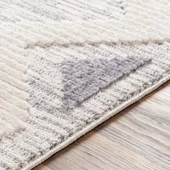 Eloise Gray 5 ft. x 7 ft. Area Rug by Home Decorators Collection -Home Decorators Store gray home decorators collection area rugs s00161022759 4f 1000