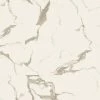 12 in. W x 24 in. L Harvested Marble Click Lock Luxury Vinyl Tile Flooring (19.37 sq. ft./case) by Home Decorators Collection