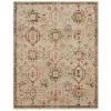 Medallion Multi 10 ft. x 13 ft. Indoor Area Rug by Home Decorators Collection