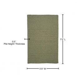 Wilshire Palm 5 ft. x 7 ft. Rectangle Braided Area Rug by Home Decorators Collection -Home Decorators Store palm home decorators collection area rugs 3477817650 76 1000